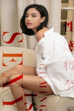 平凡的荣耀演员表