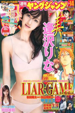 国产69精品久久久久观看软件